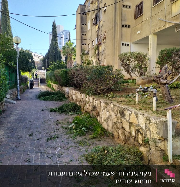 ענפי עצים גזומים על שביל מרוצף ליד בניין